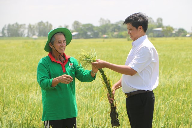 Nông nghiệp Đồng Tháp chuyển dịch tăng trưởng theo chiều sâu