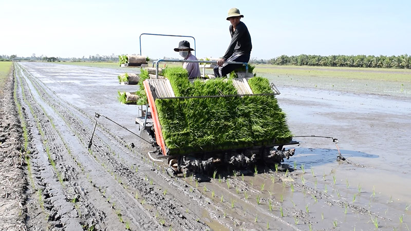 Chuyển biến tích cực trong tái cơ cấu nông nghiệp trên địa bàn tỉnh